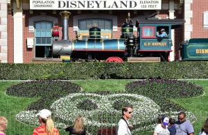 Legionelloza w Kalifornii, bakterie w Disneylandzie