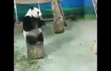 (Prawie) Kung Fu Panda