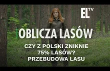 Czy z Polski zniknie 75% lasów? Przebudowa lasu | Oblicza lasów...