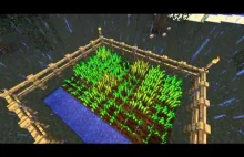 Minecraft Time Lapse 01# -rosnące zboże