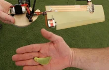 Monokopter - inspirowany nasionkiem klonu latający aprat z lab. Lockheeda