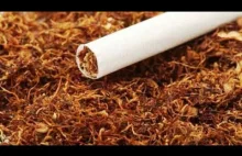 Norwescy lekarze wzywają do delegalizacji tytoniu