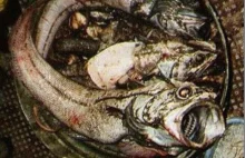10 najpaskudniejszych ryb świata