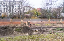 Od czego rozpoczyna się budowę parku w Gdyni?