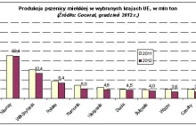 Rynek zbóż - Francja liderem w unijnej produkcji i eksporcie zbóż