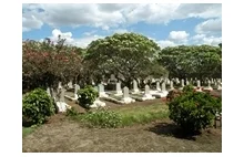 Polskie cmentarze w Afryce Wschodniej