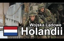Wojska Lądowe Holandii (Komentarz) #gdziewojsko