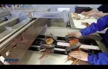 Ryco 260 Automatic Crab Butchering Machine