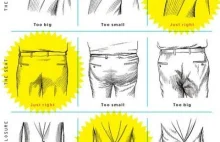 Moda i Styl: Infografiki z poradami dla mężczyzn (ENG)