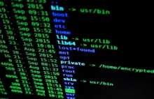 Kali Linux 19.1 – nowa wersja „Linuksa dla hakerów” już z Metasploitem 5.0