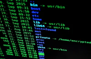 Kali Linux 19.1 – nowa wersja „Linuksa dla hakerów” już z Metasploitem 5.0