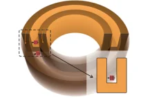 Fizycy stworzyli diodę magnetyczną do jednokierunkowego transferu pól magnetycz
