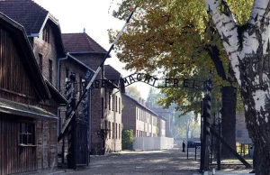 Zanegował Holokaust. Za karę 1,5 roku (!!!) w zawiasach i odwiedzi Auschwitz