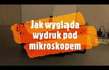 Jak wygląda wydruk pod MIKROSKOPEM. MIKROŚWIAT...