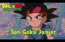 Odległy prawnuk Son Goku