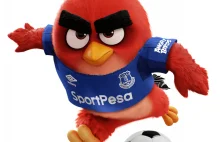„Angry Birds” firmy Rovio na koszulkach Everton - Legalny Bukmacher