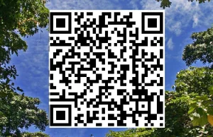 Arboretum — Nadleśnictwo Kudypy — Portal Korporacyjny Lasów Państwowych