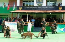 Jaguar, próbujący uciec z ceremonii przekazania ognia olimpijskiego, zatrzelony