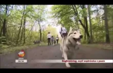 Polska Liga DogTrekkingu - Czym jest DogTrekking