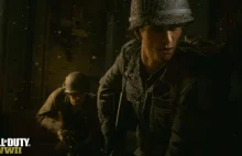 CoD: WWII - wyrok w sprawie głupiego żartu zakończonego śmiercią