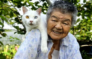 Pewna staruszka i jej kot