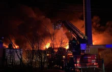 Potężny pożar złomowiska w Koszalinie. Strażacy w akcji [FOTO, FILMY