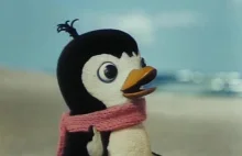 Potrzebny #wykopeffect dla Małego Pingwina Pik-Poka!