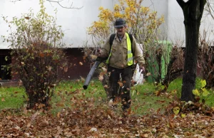 Warszawa zakazuje używania dmuchaw do sprzątania liści. W końcu!