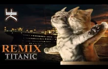 Cat Singing TITANIC My Heart Will Go On - (AUTOTUNE REMIX) By Khaled Freak