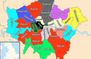Drugi po języku angielskim najpopularniejszy język którego używa się w Londynie.