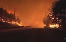 PILNE! Strażacy walczą z wielkim pożarem lasu w Korei Płd. Ewakuowano ponad 4...