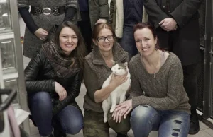 W Katowicach powstaje kawiarnia dla miłośników kotów