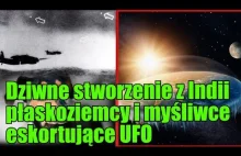 Wielki australijski spisek płaskoziemców, drapieżnik z Indii i UFO w...