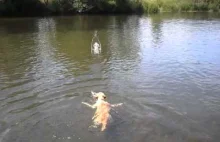 Kiedy pies nie potrafi pływać pieskiem to pływa żabką