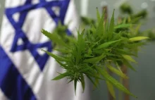 Izrael dekryminalizuje używanie marihuany do celów rekreacyjnych