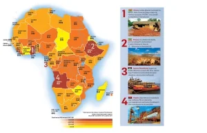 Nadchodzi wiek Afryki? Po pieniądze w kierunku Czarnego Lądu?