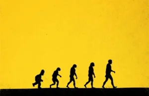 Ewolucja w obrazach