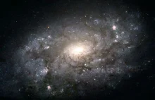 Najszybsze gwiazdy Drogi Mlecznej pochodzą z innej galaktyki