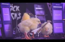 Happy Easter 'Rock Chicks' | Download Festival 2015