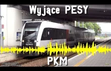 Wyjące PESY - uciążliwy problem Pomorskiej Kolei Metropolitalnej