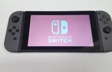 Wyciekł spory kawałek UI Nintendo Switcha