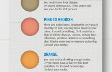 Co kolor Twojego moczu mówi o Twoim stanie zdrowia? [EN]