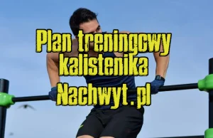 Plan treningowy kalistenika - Nachwyt.pl