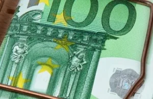 Co mówili polscy "eksperci" o przyjęciu euro.