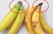 Prosty sposób na utrzymania świeżości Twoich bananów!