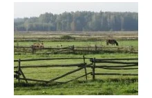 Podlaskie Klimaty. Setki zdjęć pięknego regionu