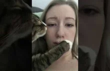 Cat Awkwardly Touches Owner