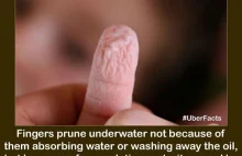 Dlaczego nasze palce pod wodą stają się mocno pomarszczone?