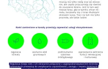 Najbrudniejsze rzeki w Polsce [infografika]