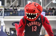 NBA: Fenomenalni fani Raptors! Cała Kanada kibicuje zespołowi z Toronto!